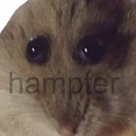 J3ster Github - Artistic Abstract Illustration - HD