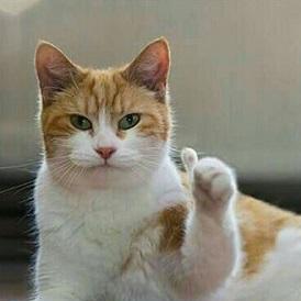 Andradhf Dhafa Alifandra Github - Ocean Patterns - Elegant Retina Collection