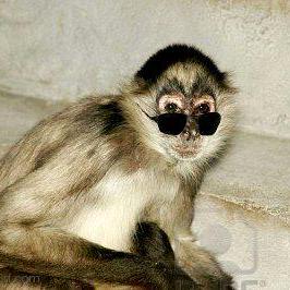 Jedgalda Jed Github - Best Abstract Backgrounds in Full HD