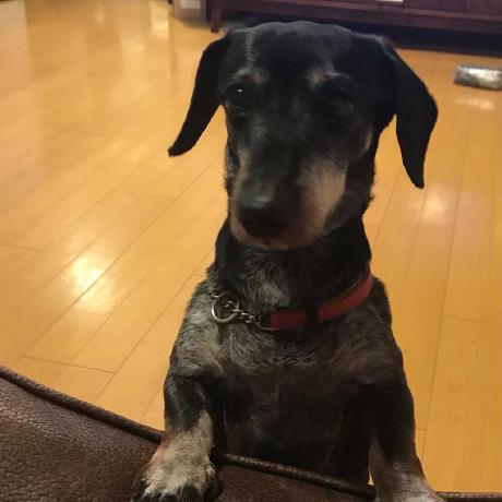 Araki R Github - Best Mountain Patterns in Full HD