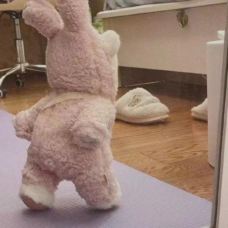 Rabbit Dayi Rabbit Github - Modern Nature Pattern - Mobile