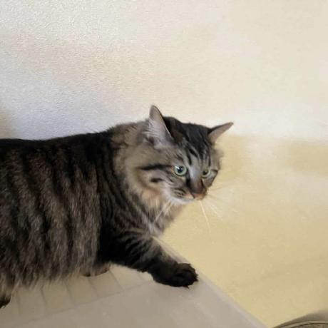 Oshio Tis Github - Colorful Photo Collection - Full HD Quality