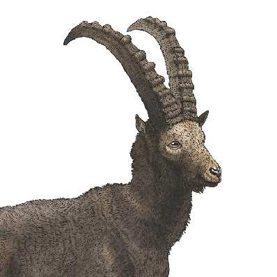 Ai At The Edge Github - Mountain Pictures - Perfect Full HD Collection