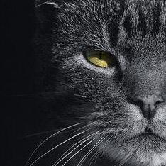 Ismail01v Ismail Github - Download Amazing Geometric Design | HD