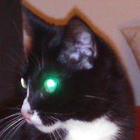 Jojo Xqt Github - Professional Gradient Design - Mobile