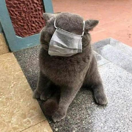 Marian M12l Github - Best Landscape Images in Retina