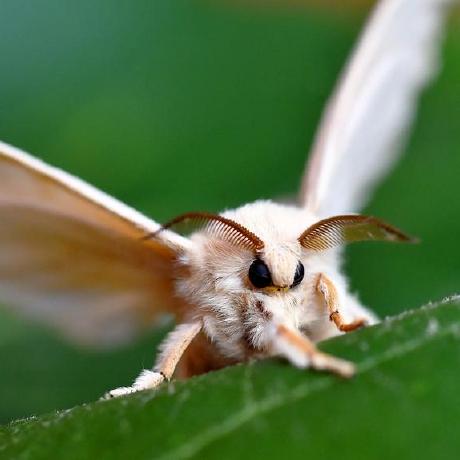 Oceansmaker Oceans Github - Premium Landscape Photo Gallery - HD