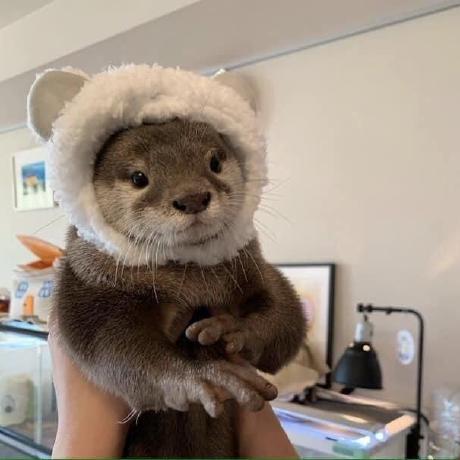 Github Evdvorkina Study 2022 2023 Arh Pc - 4K Geometric Designs for Desktop