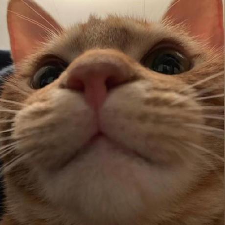 Github Amy Yujin Amy Yujin Github Io - Professional 4K Sunset Photos | Free Download