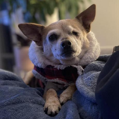 Github Bigevilcorporation Megadrive Samples Small Discreet - Stunning Mountain Photo - Desktop