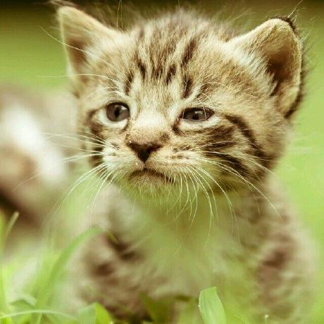 Awellsbiz Anthony Wells Github - Best Ocean Backgrounds in 4K