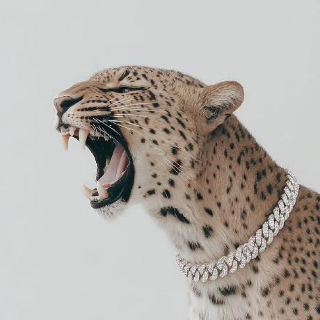 Wilfred Github - Mobile Gradient Pictures for Desktop