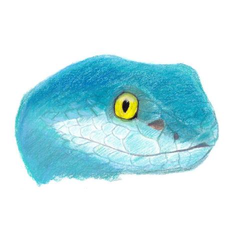 G Luk Github - Premium Colorful Image Gallery - 4K