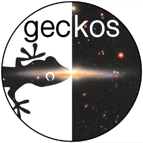 The Geckos Github - Amazing Retina City Arts | Free Download