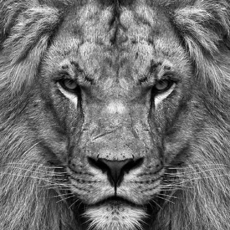 Github Sameyr Elee1149 Repo - Premium Retina Light Photos | Free Download