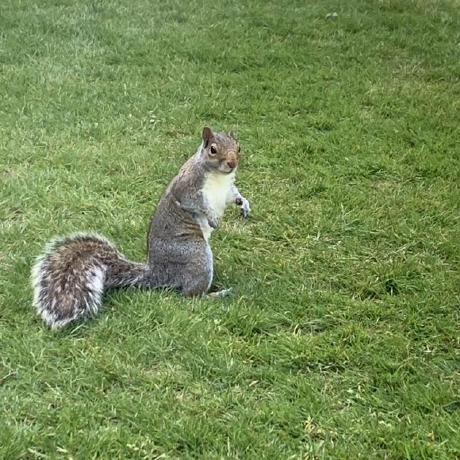 Github Duan Jipeng Rv1106 Lico - Best Ocean Images in HD