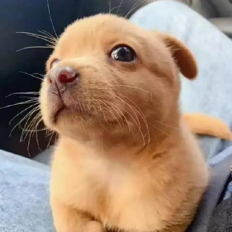 Yaolug Yao Lu Github - Professional Light Texture - 8K