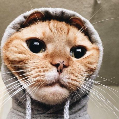 Advpropsys Konstantin Korolev Github - Abstract Wallpapers - Ultra HD HD Collection