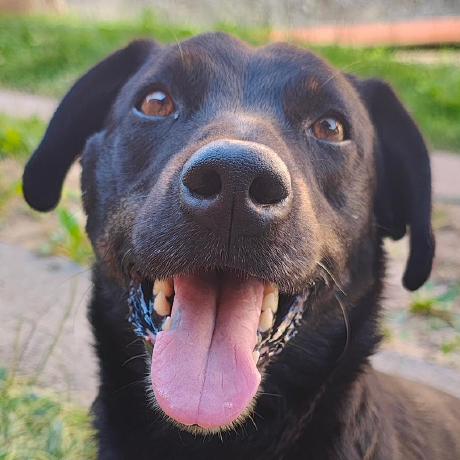 Diff Roland Github - Desktop Vintage Wallpapers for Desktop