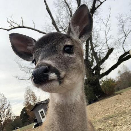 Oldjamieisgeek Jamie Github - Abstract Illustration Collection - Retina Quality