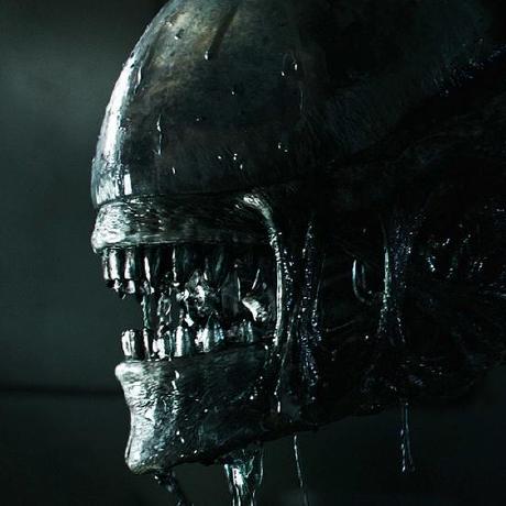 1977 Eu Dev 1977 Github - Minimal Images - Gorgeous High Resolution Collection