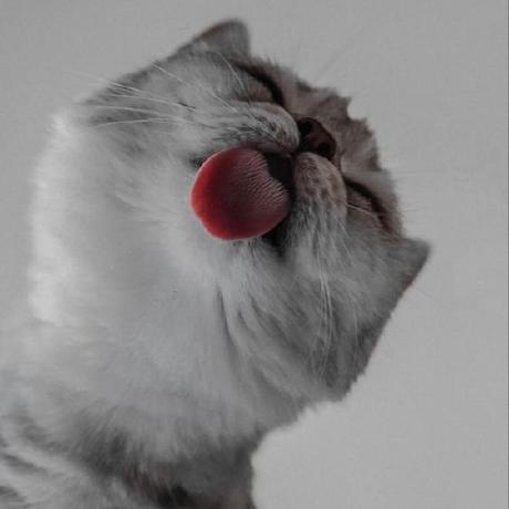 Kenan16073 Kenan Hasanov Github - Classic Ultra HD Dark Textures | Free Download