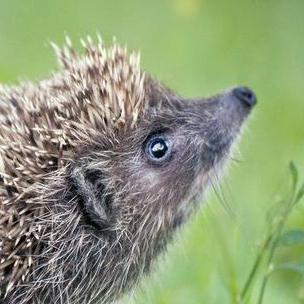 Github S3rgeek S3rgeek - Download Stunning Ocean Image | 4K