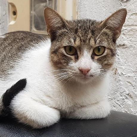 Ryoma Jp Ryoichi Matsumoto Github - Creative Full HD Sunset Pictures | Free Download