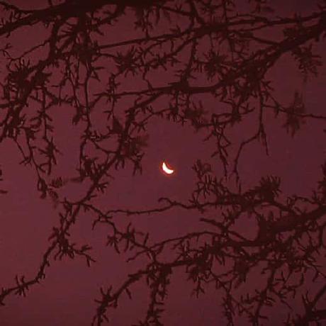 Teresaruan Teresa Github - Best Vintage Textures in Mobile