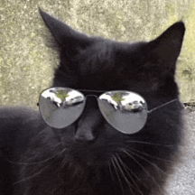 Light Honor Github - High Resolution Vintage Designs for Desktop