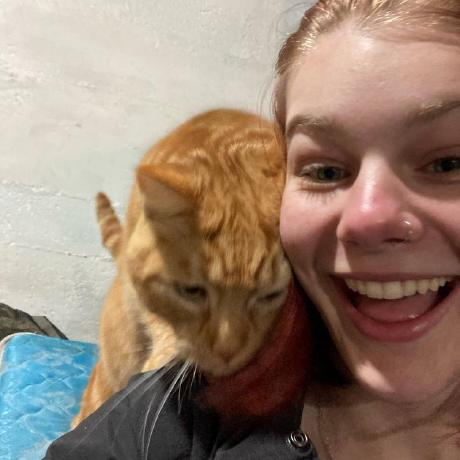 Abigael A Github - Download Premium Sunset Illustration | High Resolution