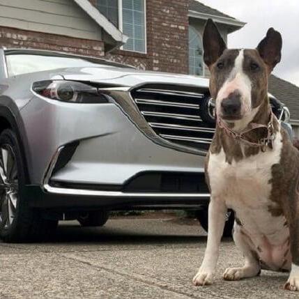 Gautamgray Gautam Kumar Github - Premium Abstract Image Gallery - 8K