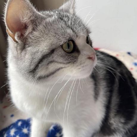 Github Tian Nian Control Your Robot This Project Provide A Verity Of - Minimal Background Collection - 4K Quality