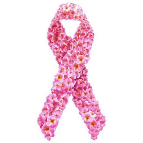 Bellsugm Bella Github - Download Classic Gradient Image | High Resolution