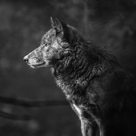 Rintu783 Rintu Kurian Github - City Images - Ultra HD High Resolution Collection