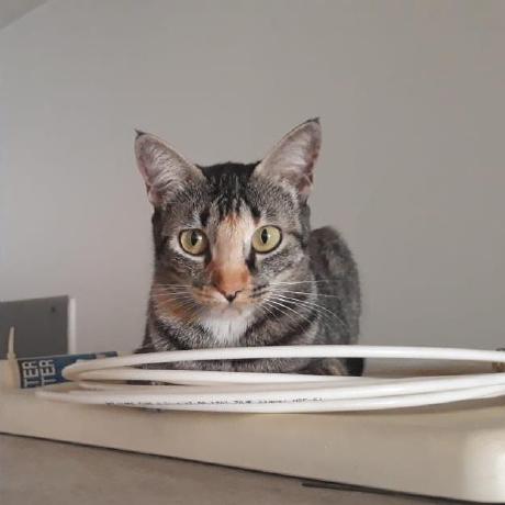 Reyyyy43 Reinaldo Landaeta Github - HD Gradient Photos for Desktop