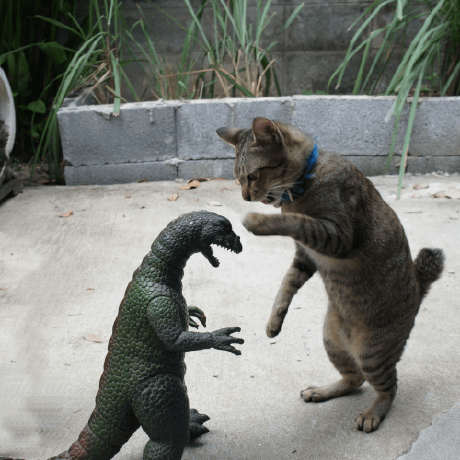 Jarrod Cat Github - Artistic High Resolution Gradient Images | Free Download