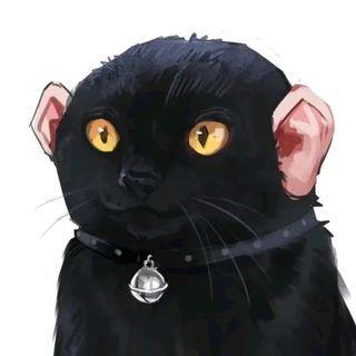 Bref Github - Premium 4K Light Wallpapers | Free Download