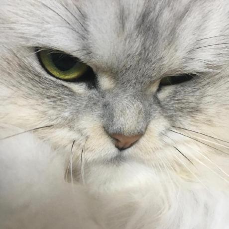 Inkp80 Inkyu Park Github - Abstract Art Collection - Mobile Quality