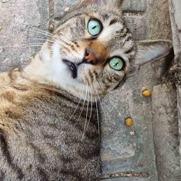 Erezrei Erez Github - Best Mountain Wallpapers in Full HD