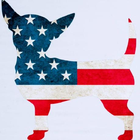 Berkant Berkant Pek Github - Download Perfect Minimal Pattern | 8K