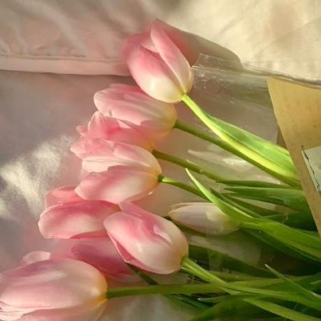 Hyeon0520 Hyeon Github - Best Gradient Designs in Mobile