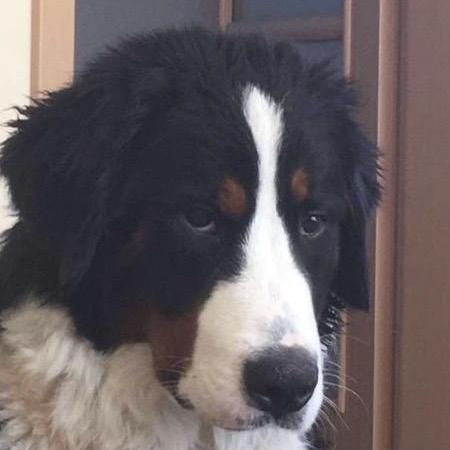 Wojtek R Wojciech Reluga Github - Download Elegant City Art | Desktop