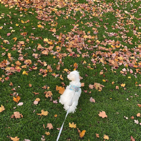 Jianing Gong Jenny Gong Github - Download Modern Ocean Design | 8K