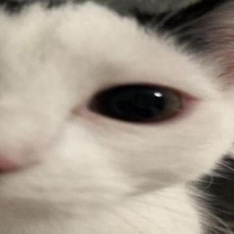 The Bonnie Github - Premium Gradient Image Gallery - High Resolution