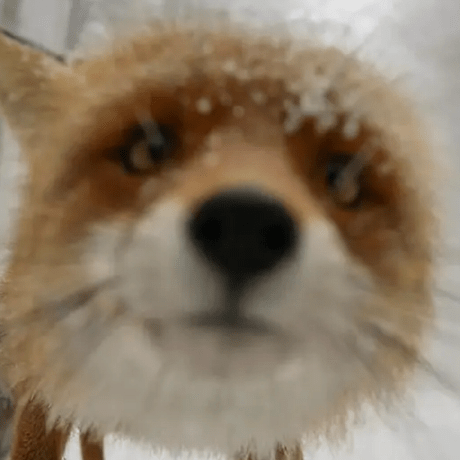 Maesalva Estefany Alvarado Github - 4K Gradient Wallpapers for Desktop