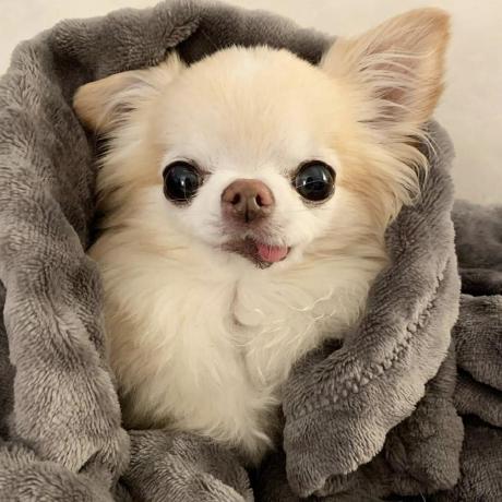 Urfavvstargirl Sara Github - Ultra HD Geometric Wallpapers for Desktop