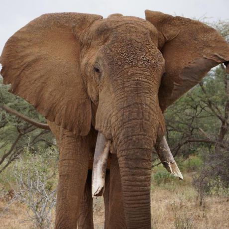 Github Padas Er Server Opensource Er Server Aka Das - Minimal Arts - Professional Full HD Collection