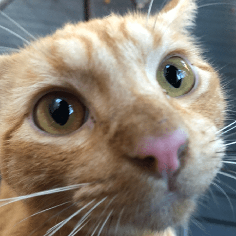 Una Kuo Github - Mobile Sunset Wallpapers for Desktop