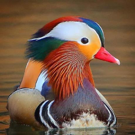 Phua Lock Hian Github - Minimal Backgrounds - Professional Desktop Collection